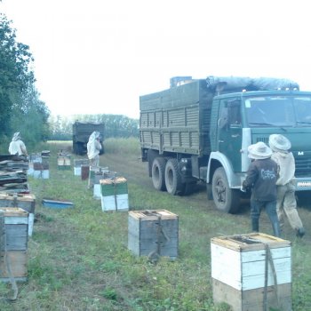 Очередная кочевка в медовые места